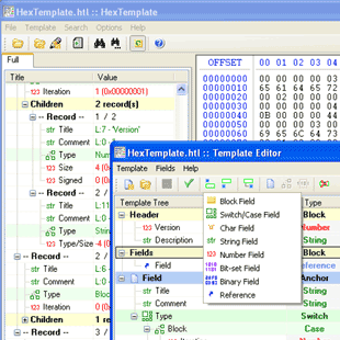 HexTemplate is a utility for view of structured binary files via template